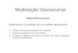 Modelação Operacional Objectivos iniciais Desenvolver o protótipo de um modelo operacional 1.Tornar visíveis as limitações do sistema 2.Ganhar experiência