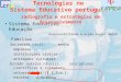 Tecnologias no Sistema Educativo português radiografia e estratégias de desenvolvimento Sistema Educativo Educação Responsabilidade e acção social ampla