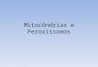Mitocôndrias e Peroxissomos. Mitocôndria Características Gerais – Presença de duas membranas – Externa lisa e interna formando cristas