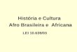 História e Cultura Afro Brasileira e Africana LEI 10.639/03