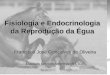 Fisiologia e Endocrinologia da Reprodução da Égua Francisco José Gonçalves de Oliveira Estábulo serviços veterinários LTDA