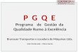 P G Q E Programa de Gestão da Qualidade Rumo à Excelência Brunauer Transportes e Locadora de Máquinas Ltda. João Monlevade – Minas Gerais