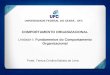 UNIVERSIDADE FEDERAL DO CEARÁ - UFC COMPORTAMENTO ORGANIZACIONAL Unidade I: Fundamentos do Comportamento Organizacional Profa: Tereza Cristina Batista