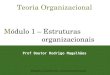 Teoria Organizacional Módulo 1 – Estruturas organizacionais Prof Doutor Rodrigo Magalhães Bibliografia: Ver também CAP. 5 do livro de Sebastião Teixeira