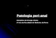 Patologia peri-anal Disciplina de Cirurgia Cl­nica 4 Ano da Faculdade de Medicina do Porto