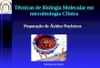 Prof.Doutor José Cabeda Técnicas de Biologia Molecular em microbiologia Clínica Preparação de Ácidos Nucleicos