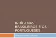 INDÍGENAS BRASILEIROS E OS PORTUGUESES: Choque entre culturas