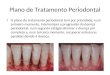 Plano de Tratamento Periodontal O plano de tratamento periodontal tem por prioridade, num primeiro momento, interromper a progressão da doença periodontal,