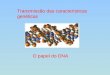 Transmissão das características genéticas O papel do DNA