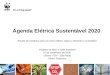 Agenda Elétrica Sustentável 2020 Estudo de Cenários para um setor elétrico seguro, eficiente e competitivo Projetos de MDL e Gold Standard 07 de Dezembro