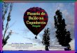 Progressão automática Vem comigo, vamos juntos fazer esse maravilhoso passeio de Balão pela Capadoccia, na Turquia