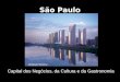 S£o Paulo Capital dos Neg³cios, da Cultura e da Gastronomia Marginal Pinheiros