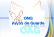 A ONG Anjos da Guarda (OAG) surgiu da necessidade de ajudar algumas instituições ou entidades como lares abrigos, creches e asilos de uma forma dinâmica