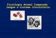 Fisiologia Animal Comparada Sangue e sistema circulatório