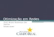 Otimização em Redes Prof. Bruno Samways dos Santos bruno.samways@gmail.com