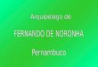 Fernando de Noronha é um arquipélago vulcânico isolado no Atlântico Equatorial Sul, sendo sua ilha principal a parte visível de uma cadeia de montanhas
