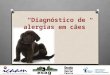 Diagnóstico de alergias em cães. O que são alergias Alergia ou reação de hipersensibilidade é uma resposta imunológica exagerada, que se desenvolve após