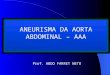 ANEURISMA DA AORTA ABDOMINAL â€“ AAA Prof. ABDO FARRET NETO