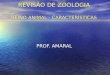 REVISÃO DE ZOOLOGIA REINO ANIMAL - CARACTERÍSTICAS PROF. AMARAL