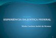 EXPERIÊNCIA DA JUSTIÇA FEDERAL Vânila Cardoso André de Moraes 1