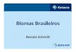 Biomas Brasileiros Renata Schmitt. BIOMA Bioma, ou formação planta - animal, deve ser entendido como a unidade biótica de maior extensão geográfica, compreendendo