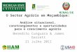 O Sector Agrário em Moçambique: Análise situacional, constrangimentos e oportunidades para o crescimento agrário Benedito Cunguara & James Garrett 21 Julho