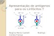 Apresentação de antígenos para os Linfócitos T Regina Maria Castelli Rodrigo Correa França