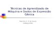 Técnicas de Aprendizado de Máquina e Dados de Expressão Gênica Marcílio C. P. de Souto DIMAp/UFRN