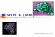 GRIPE A (H1N1) profsuzy@hotmail.com. O que são vírus? São seres vivos acelulares; São seres vivos acelulares; Constituídos por um dos ácidos nucleicos;
