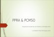 PPRA & PCMSO Programa de Academias de Ginstica e Atividades Afins Luiz Roberto Pires Domingues Junior