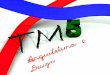 A TM 5, Escritório de Arquitetura e Design, trabalha com base em responsabilidade, compromisso e tradução daquilo que se deseja e é possível