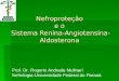 Nefroproteção e o Sistema Renina-Angiotensina- Aldosterona Prof. Dr. Rogerio Andrade Mulinari Nefrologia-Universidade Federal do Paraná