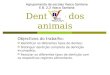 Dentição dos animais Objectivos do trabalho: Identificar os diferentes tipos de dentes; Distinguir dentição completa de dentição incompleta; Associar os