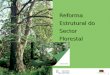 Reforma Estrutural do Sector Florestal 31 Outubro de 2003 1
