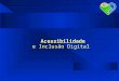 Acessibilidade e Inclusão Digital. Panorama da WEB no Brasil - FGV 2003 Em 2001, pelo dados do PNAD 12,46% da população brasileira tinham acesso em seus