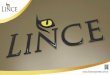 Há mais de 14 anos no mercado, a Lince Corporate é uma holding de empresas de diferentes ramos, que traz as melhores soluções para os seus clientes. Aliamos