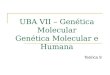 UBA VII – Genética Molecular Genética Molecular e Humana Teórica 9