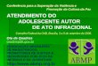 1 Conferência para a Superação da Violência e Promoção da Cultura da Paz ATENDIMENTO DO ADOLESCENTE AUTOR DE ATO INFRACIONAL Conselho Federal da OAB, Brasília,