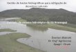 Gestão de bacias hidrográficas para mitigação de desastres naturais Exemplo do sistema hidrológico do rio Araranguá Éverton Blainski Dr. Eng° Agrônomo