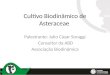 Cultivo Biodinâmico de Asteraceae Palestrante: Julio Cásar Soraggi Consultor da ABD Associação Biodinâmica