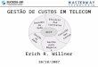 GESTÃO DE CUSTOS EM TELECOM 30/10/2007 Erich R. Willner GCCT Desenho da Rede Precisão das Contas Eficácia dos Contratos Gestão da Rede Gestão para Negócios
