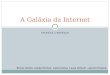 MANUEL CASTELLS A Galáxia da Internet Bruno Osório, Dante Roman, Julia Correa, Laura Schuch, Lennon Pereira