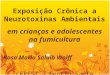 Exposição Crônica a Neurotoxinas Ambientais em crianças e adolescentes na fumicultura Rosa Maria Salaib Wolff CEREST – Centro Santa Maria/RS