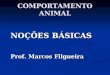 COMPORTAMENTO ANIMAL NOÇÕES BÁSICAS Prof. Marcos Filgueira