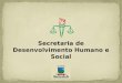 Secretaria de Desenvolvimento Humano e Social. SERVIÇOS PRESTADOS: ATENDIMENTO SOCIAL/VISITA DOMICILIAR - 537 ATENDIMENTO PSICOLÓGICO - 268 ATENDIMENTO