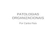 PATOLOGIAS ORGANIZACIONAIS Por Carlos Reis. PATOLOGIAS ORGANIZACIONAIS Formalização organizacional Subordinação múltipla Trincheira de assessores Conjugação