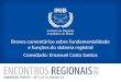 Breves comentários sobre fundamentalidade e funções do sistema registral Convidado: Emanuel Costa Santos