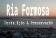 A Ria Formosa é uma área protegida, devido ao seu elevado índice de biodiversidade, conseguindo deste modo o estatuto de Parque Natural em 1987. Este