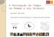 A Percepção do Tempo no Homem e nos Animais Armando Machado Laboratório de Aprendizagem e Comportamento Animal Universidade do Minho Escola de Psicologia