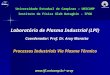 Laboratório de Plasma Industrial (LPI) Processos Industriais Via Plasma Térmico aruy Universidade Estadual de Campinas – UNICAMP Instituto